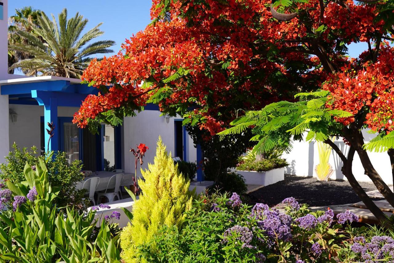 Timfay Villa Corralejo Luaran gambar
