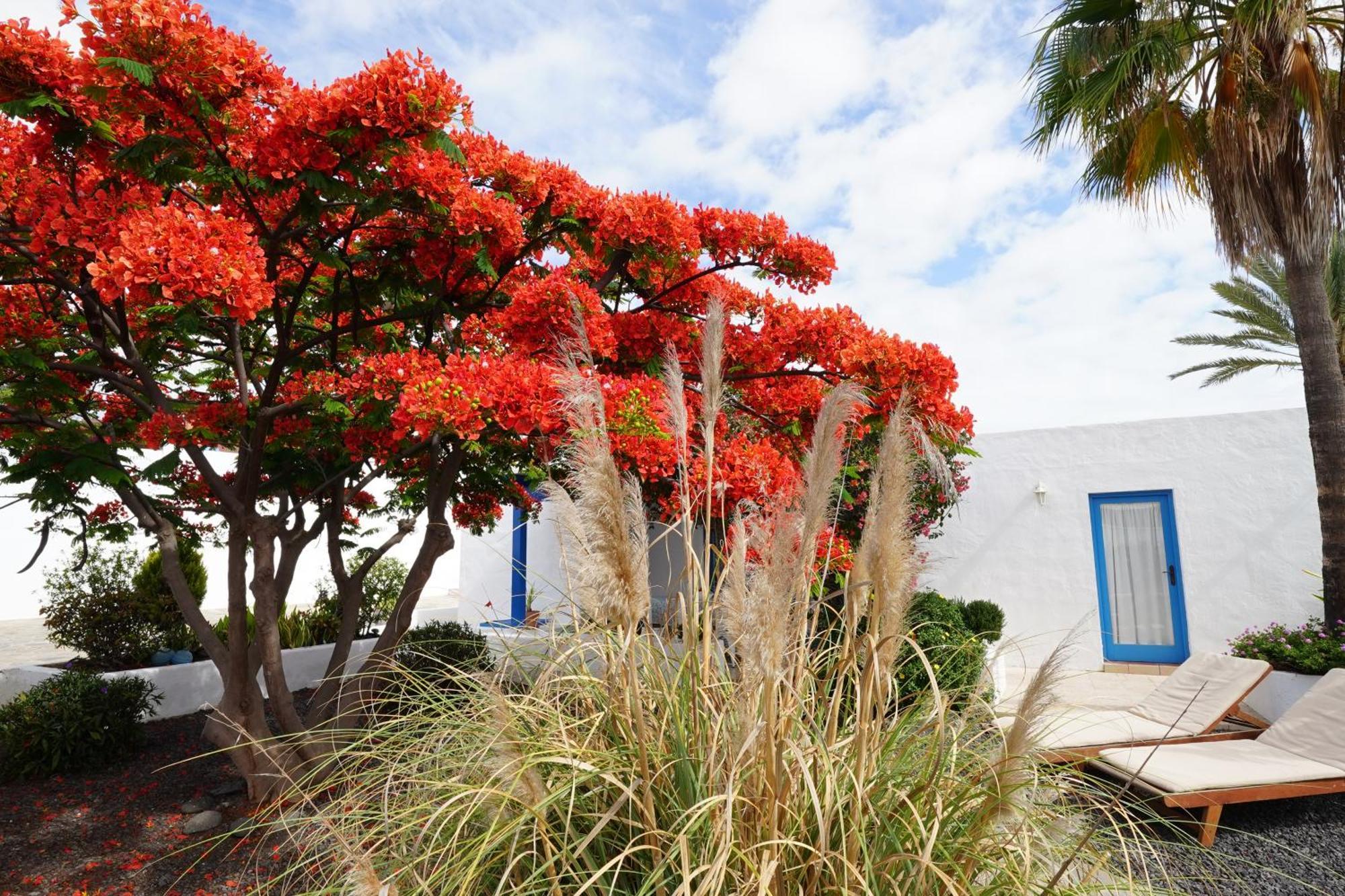 Timfay Villa Corralejo Luaran gambar